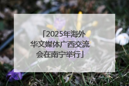 2025年海外华文媒体广西交流会在南宁举行