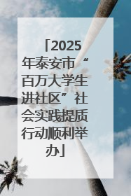 2025年泰安市“百万大学生进社区”社会实践提质行动顺利举办