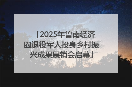 2025年鲁南经济圈退役军人投身乡村振兴成果展销会启幕