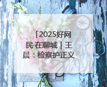 2025好网民·在聊城｜王晨：检察护正义 青春筑晴朗