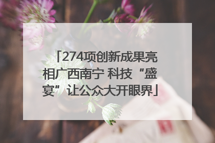 274项创新成果亮相广西南宁 科技“盛宴”让公众大开眼界