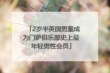 2岁半英国男童成为门萨俱乐部史上最年轻男性会员