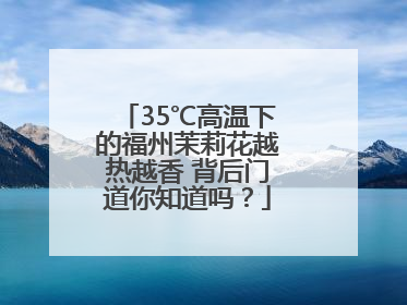 35℃高温下的福州茉莉花越热越香 背后门道你知道吗？