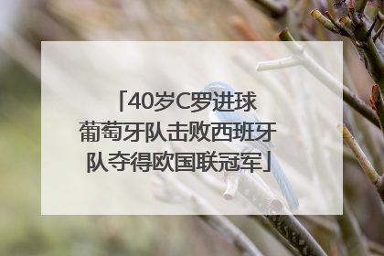 40岁C罗进球 葡萄牙队击败西班牙队夺得欧国联冠军