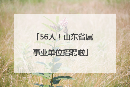 56人！山东省属事业单位招聘啦
