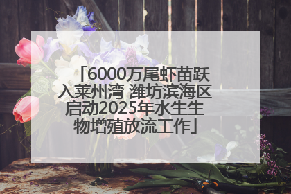 6000万尾虾苗跃入莱州湾 潍坊滨海区启动2025年水生生物增殖放流工作
