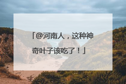@河南人，这种神奇叶子该吃了！