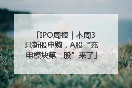 IPO周报｜本周3只新股申购，A股“充电模块第一股”来了